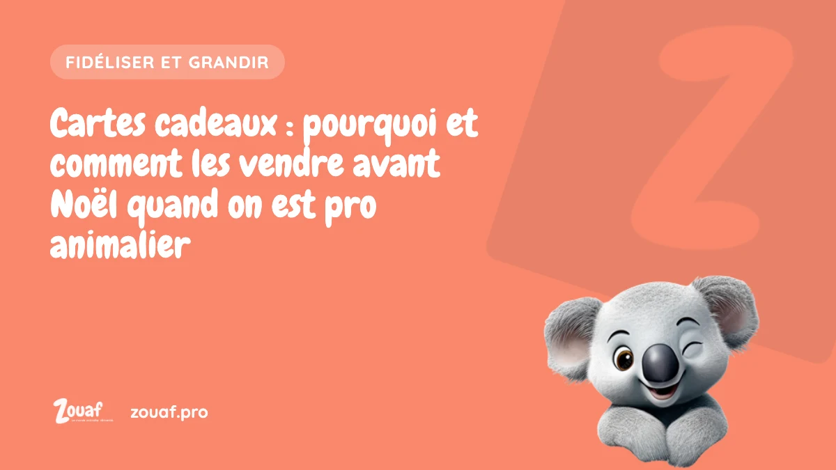 Illustration Zouaf : Cartes cadeaux : pourquoi et comment les vendre avant Noël quand on est pro animalier