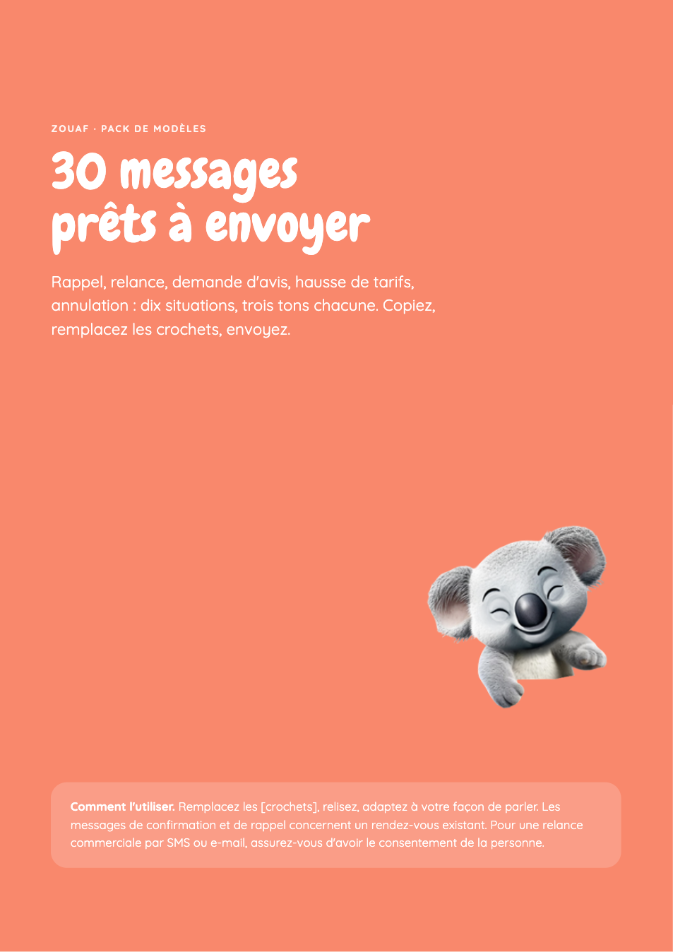 Aperçu : 30 messages prêts à envoyer à vos clients